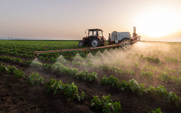 Professional Pest Control in Jackpot, NV