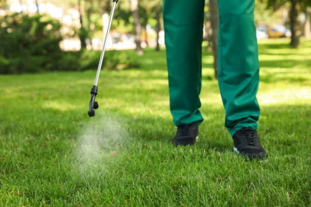 Best Ant Control Services  in Jackpot, NV