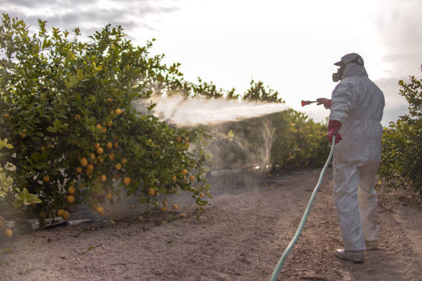 Best Pest Inspection Near Me  in Jackpot, NV