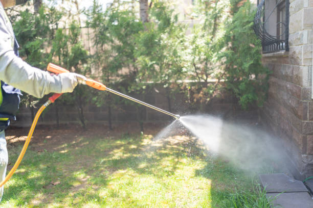 Best Wildlife Control Services  in Jackpot, NV