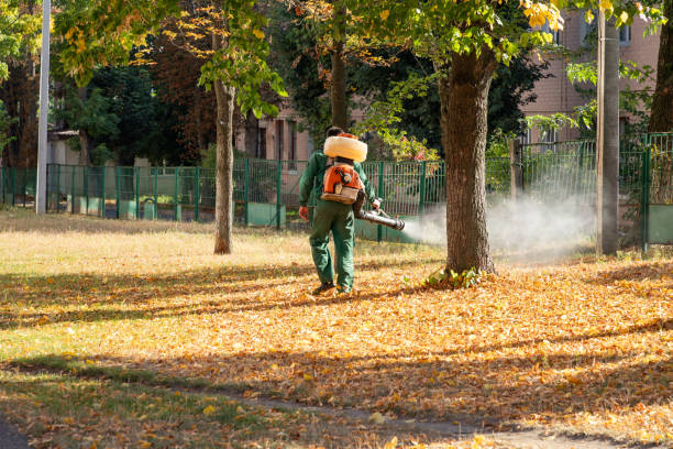 Best Pest Control for Businesses  in Jackpot, NV