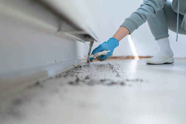 Best Commercial Pest Control Services  in Jackpot, NV